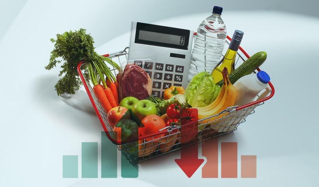 Ocak Ayı Enflasyon Rakamları: TÜİK %30, ENAG %53 Dedi