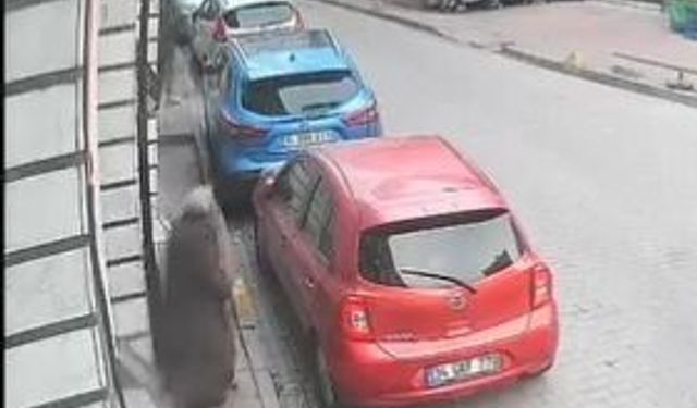 Fatih'te sokakta kadının elindeki telefonu çalıp kaçtı