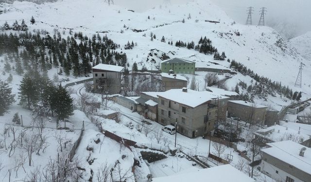 Hakkari'de 82 yerleşim yerinin yolu ulaşıma kapandı