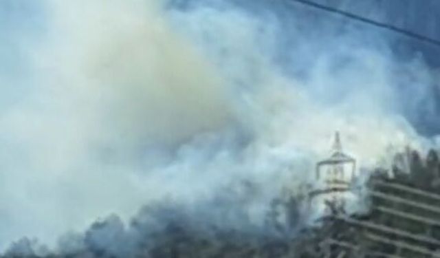 Osmaniye'de orman yangını