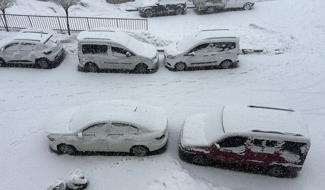 Yüksekova'da kar yağışı etkili oldu