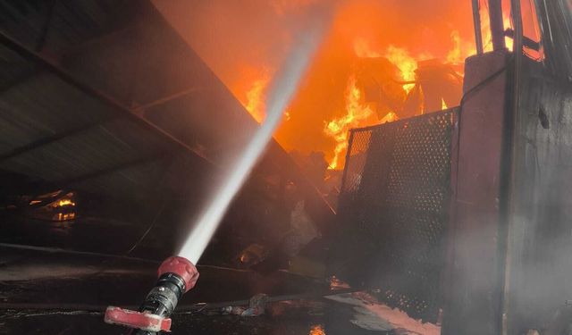 Adana'da geri dönüşüm tesisinde yangın