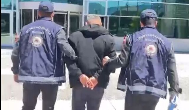 Durdurulan kamyondan 10 kaçak göçmen çıktı, sürücü tutuklandı