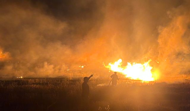 Çiftçilere 'Hevsel' uyarısı: Lütfen anızı yakmayın