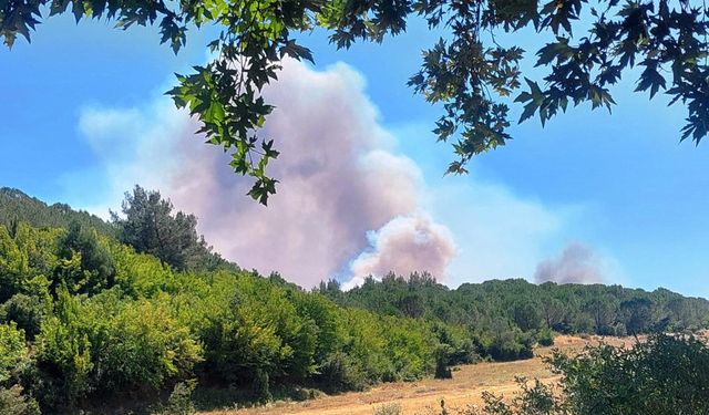 Edirne'de ormanlara giriş yasağı