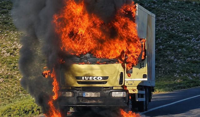 Şanlıurfa'da TIR alev alev yandı