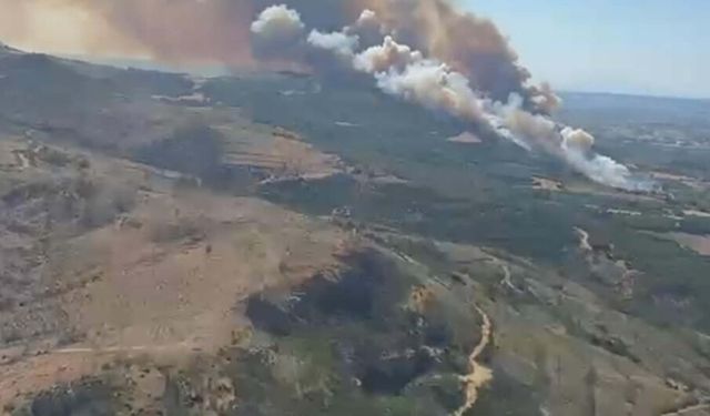 Çanakkale'de orman yangını