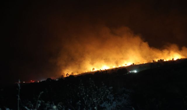İzmir'de maki yangını