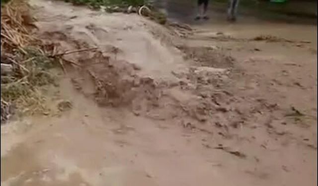 Aydın'da sağanak nedeniyle bazı yollar suyla doldu
