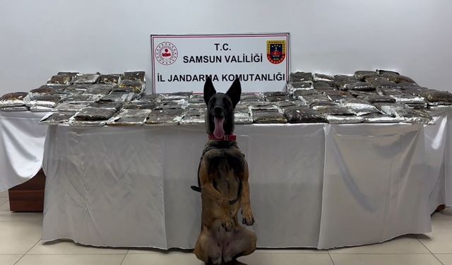 Samsun'da 132 kilo toz esrar ele geçirildi; 1 gözaltı