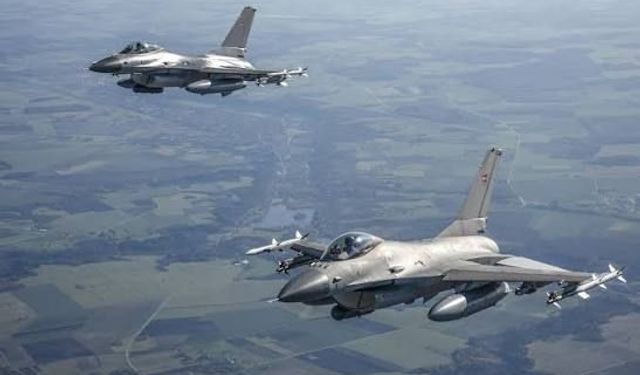 Litvanya'da NATO uçaklarını havalandıran İHA alarmının nedeni kuş sürüsü çıktı