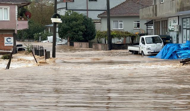 Sakarya Karasu'da dere taştı; su baskınları yaşandı