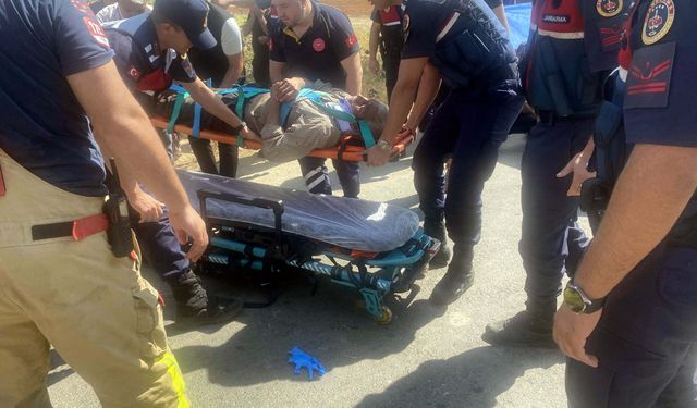 Tarım işçilerini taşıyan minibüs, ağaca çarptı: 14 yaralı