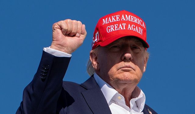 Trump: AfD'nin Almanya'daki yükselişi sürüyor