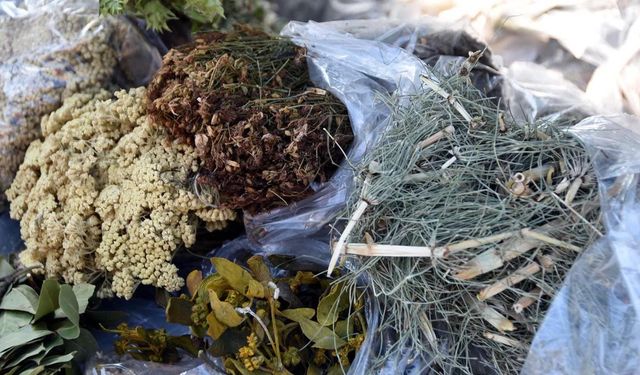 Uzmanından bitki çayı uyarısı: Uzun süreli tüketim toksik etki yapabilir