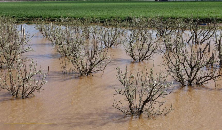 Gediz taşkını sonrası Turgutlu'da inceleme