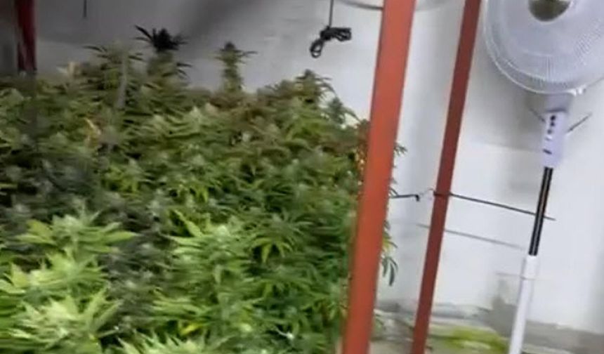 Depoyu Hint keneviri serasına çeviren 2 şüpheli tutuklandı