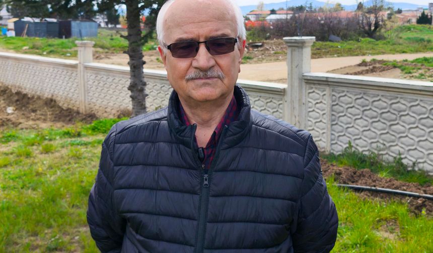 Trakya'nın 'sarı altın çiçeği' kanola ile tarlalar renklendi