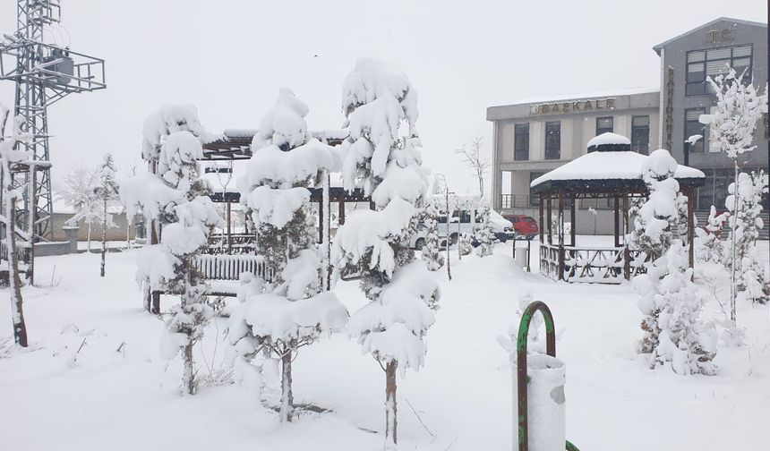 Van'da kar yağışı; 93 yerleşim yeri ulaşıma kapandı