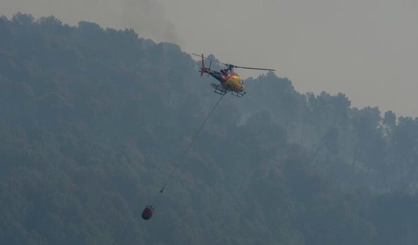 İspanya'da orman yangını: 11 ölü