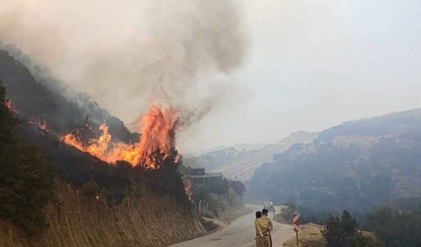 Manisa'da makilik alanda yangın